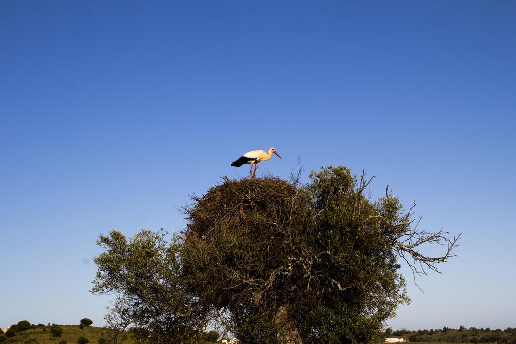 Séjour à la campagne Espargosa Monte De Baixo & Art