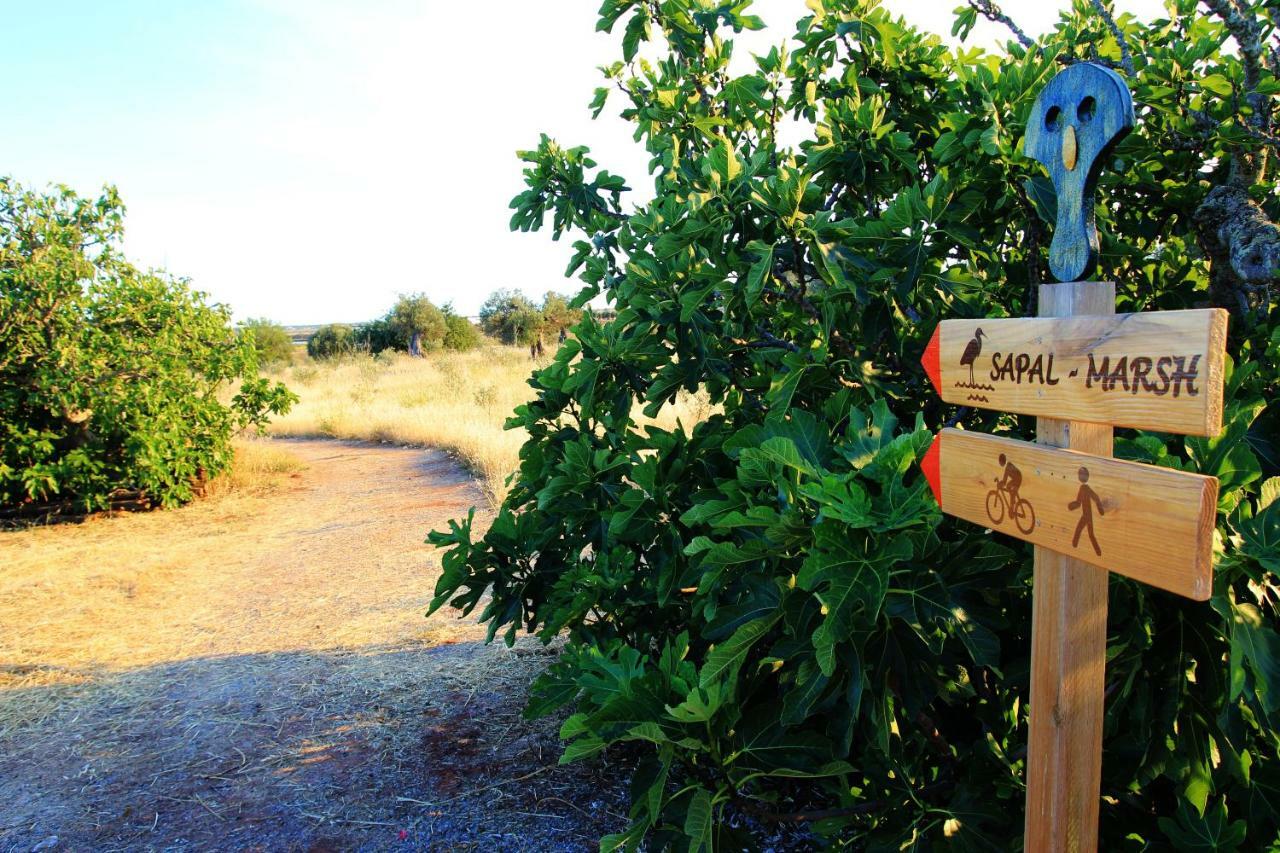 Espargosa Monte De Baixo & Art Séjour à la campagne *