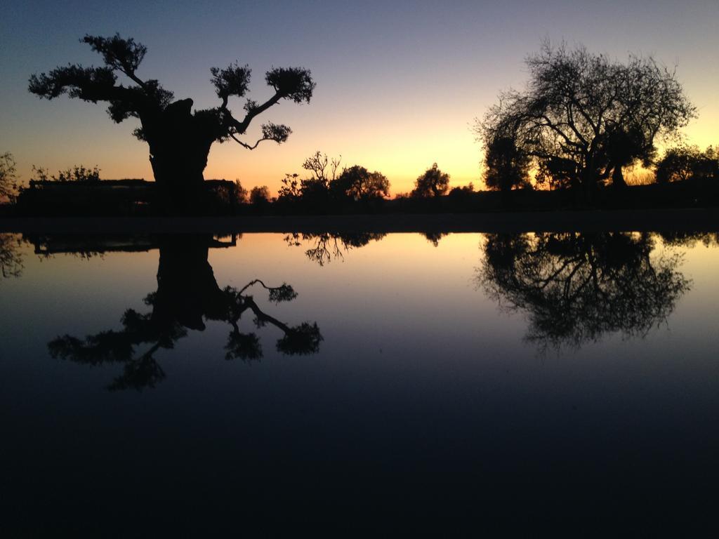 Country house Espargosa Monte De Baixo & Art Castro Marim